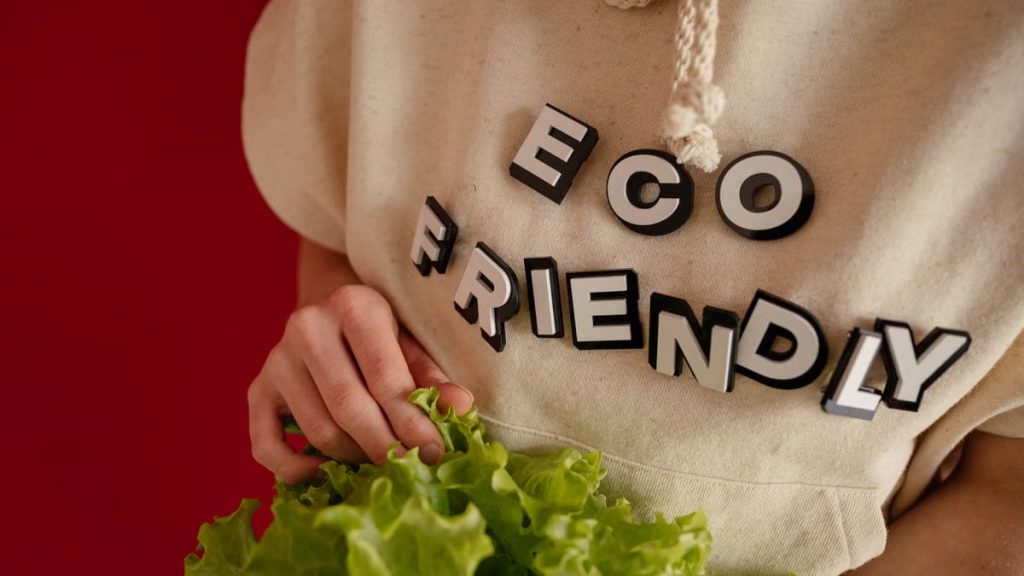 Person wearing an 'eco friendly' hoodie holding fresh green lettuce against a red background.