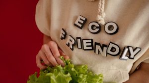 Person wearing an 'eco friendly' hoodie holding fresh green lettuce against a red background.